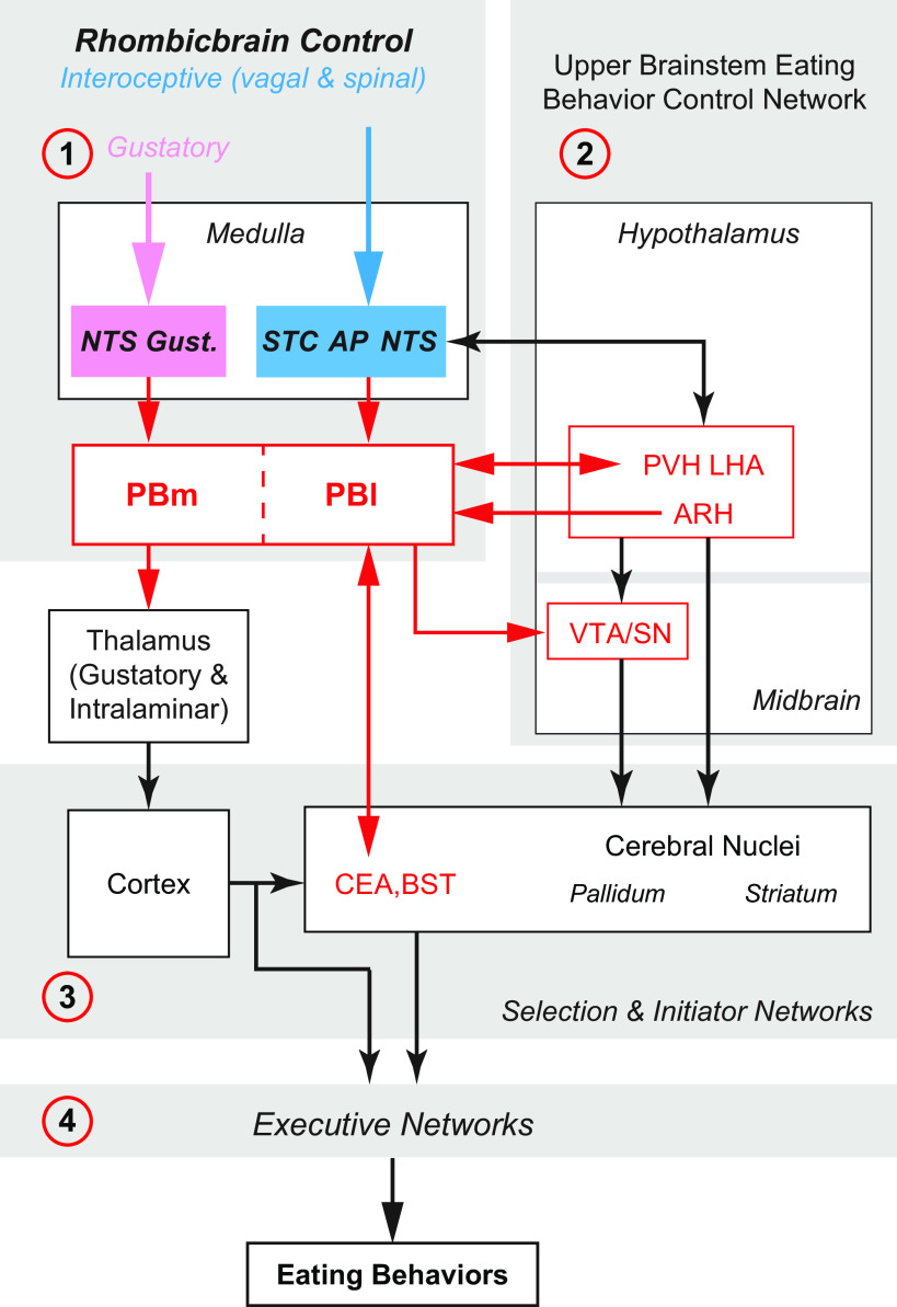 FIGURE 19.