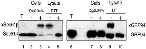 Figure 9.