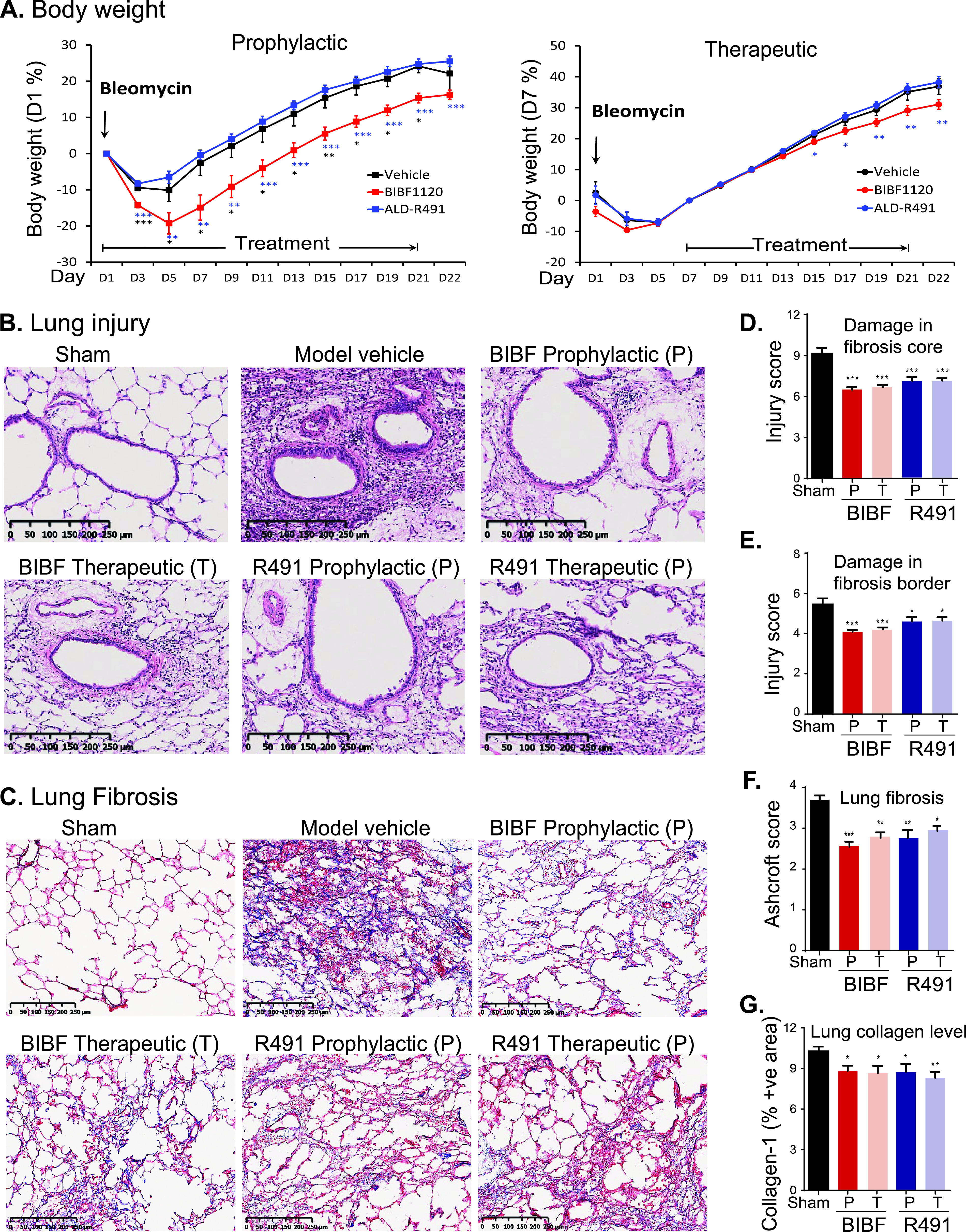 FIG 6