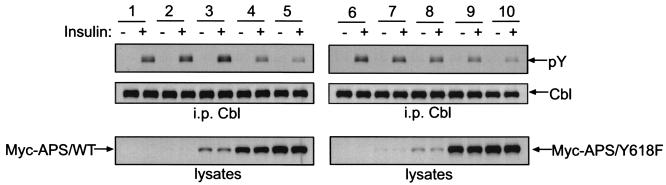 FIG. 6.