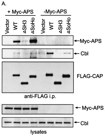 FIG.4.