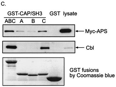 FIG.4.