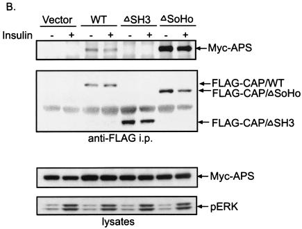 FIG.4.