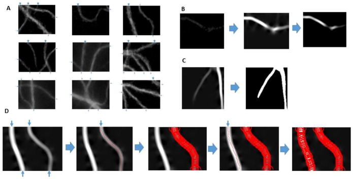 Figure 4