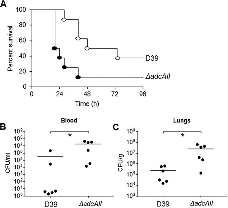 FIG 6