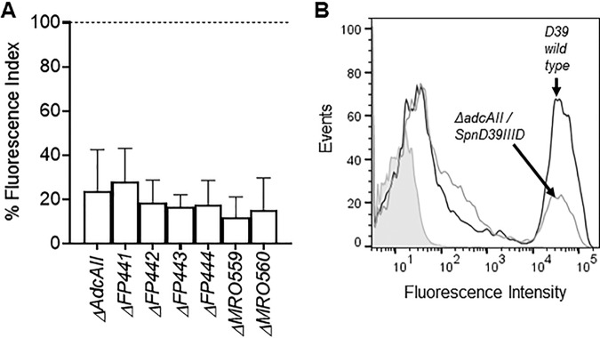 FIG 7