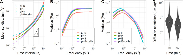 FIG 3