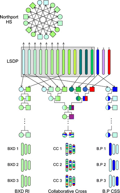 Fig. 1