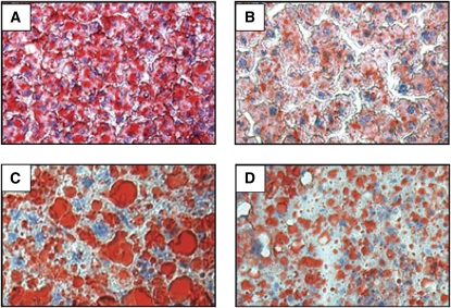 FIGURE 2 