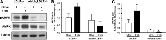 FIGURE 4 