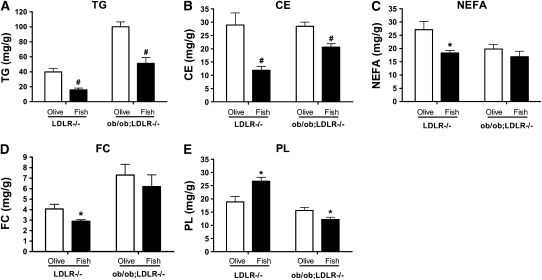 FIGURE 3 