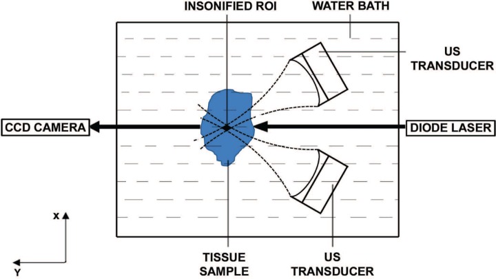 Fig. 8