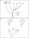 Figure  5