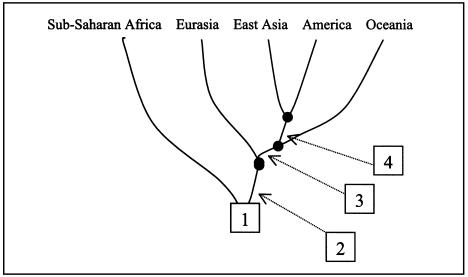 Figure  6