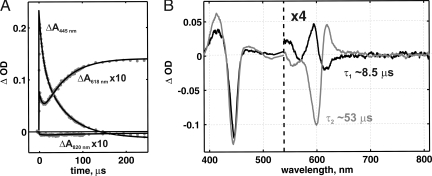 Fig. 2.