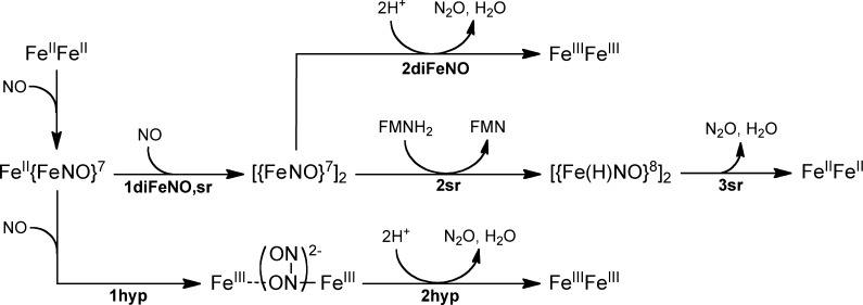 Scheme 2