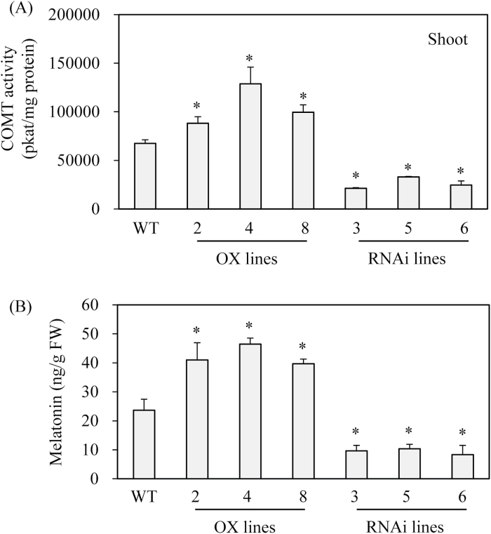 Fig. 9.