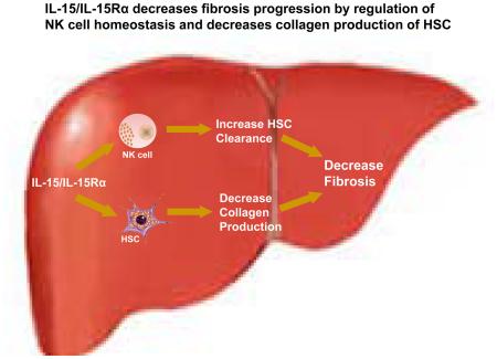 graphic file with name nihms-796887-f0001.jpg