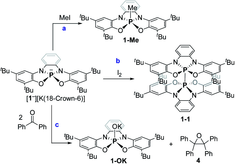 Scheme 3