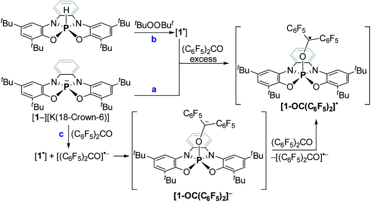 Scheme 5