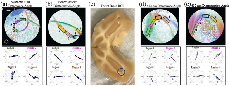 Fig. 10