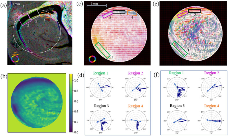 Fig. 11