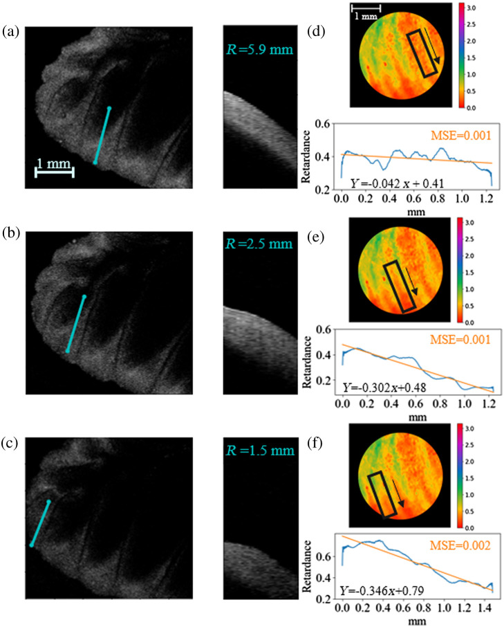 Fig. 8