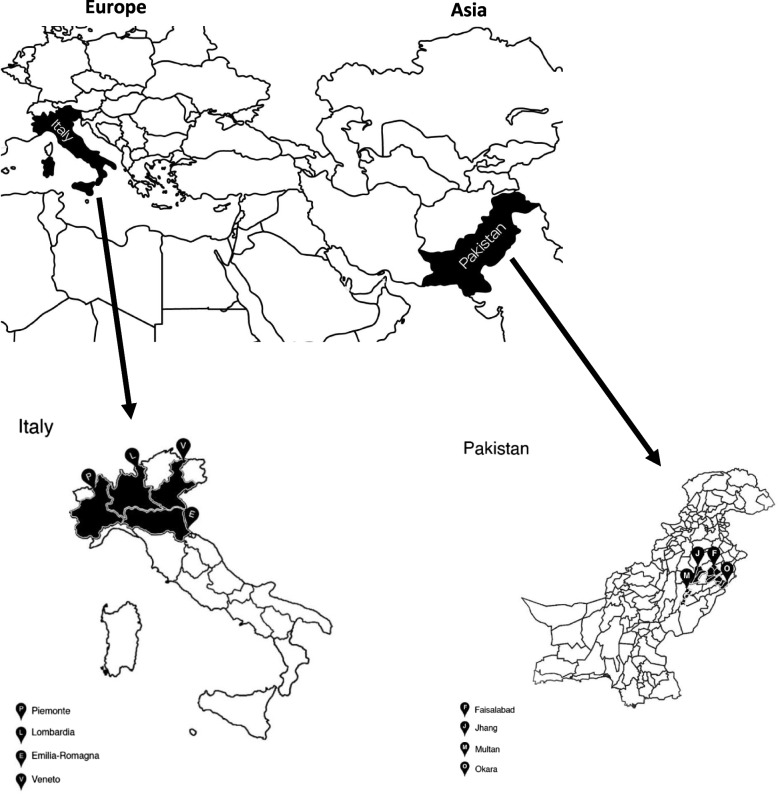 Fig. 1