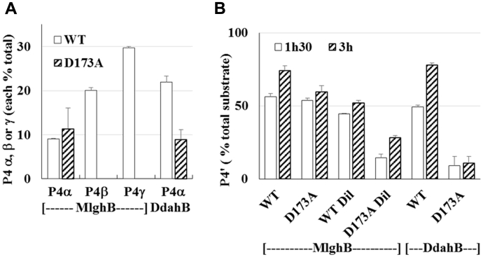 Figure 5