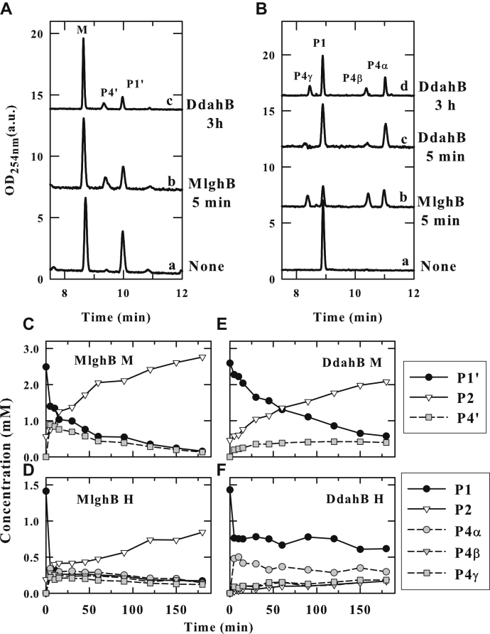 Figure 2