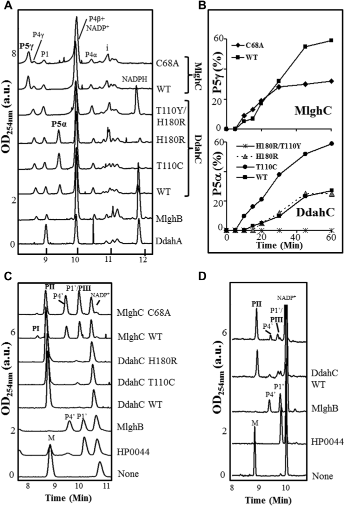 Figure 11