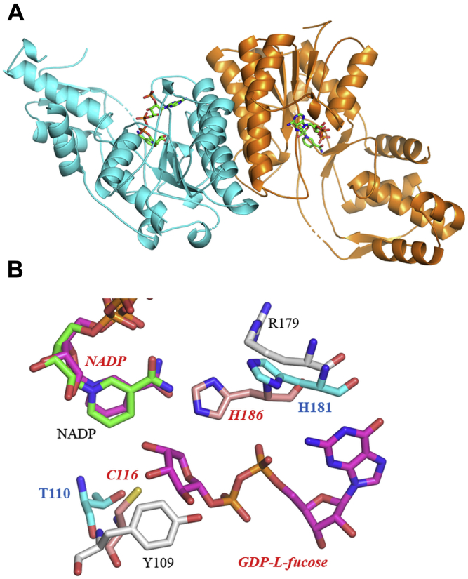 Figure 10