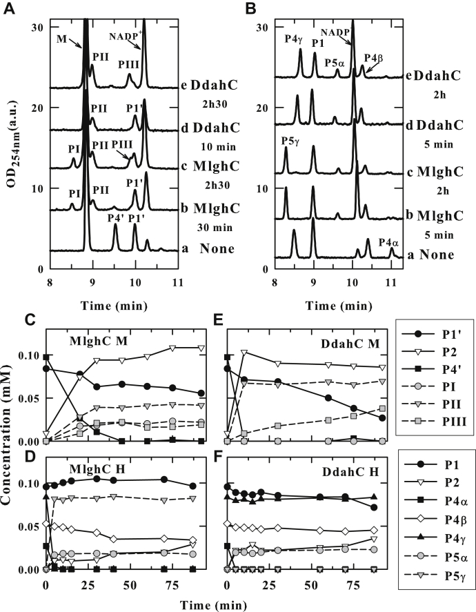 Figure 7