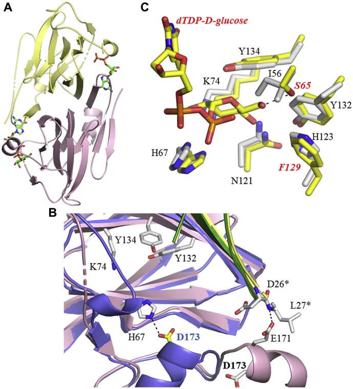 Figure 3