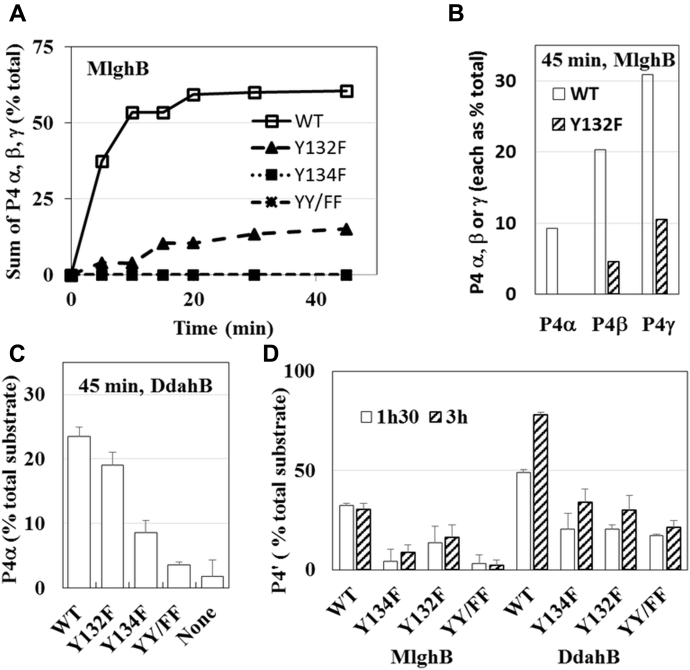 Figure 6