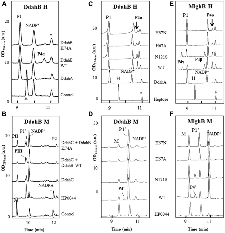 Figure 4