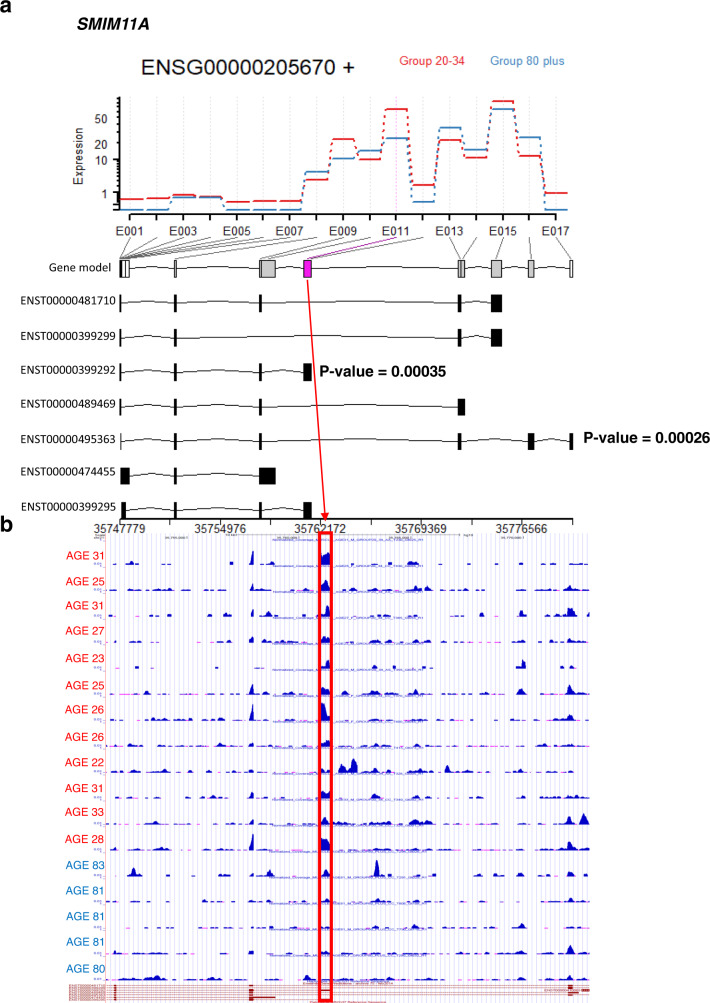 Fig. 7