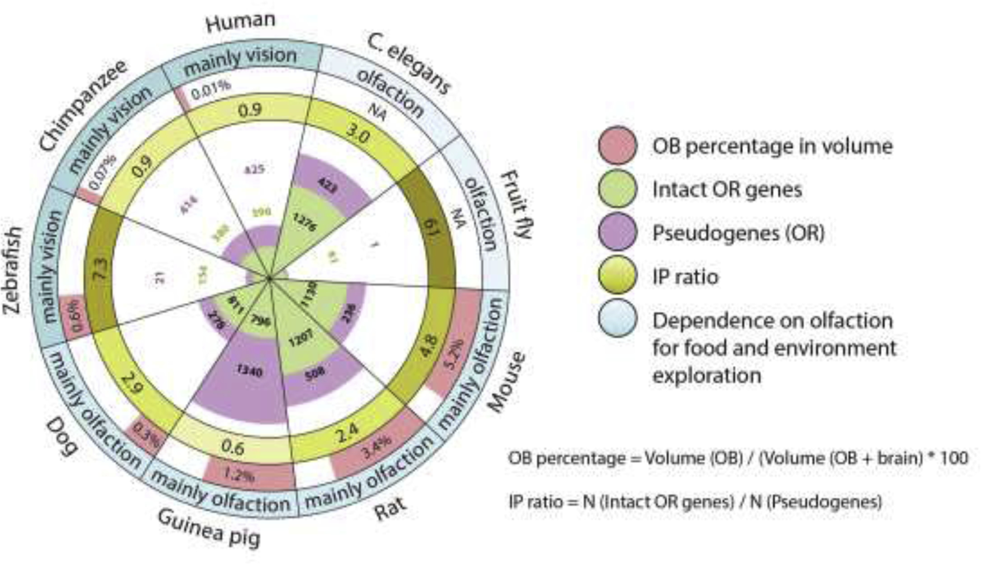 Fig. 1.