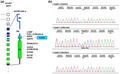 graphic file with name MGG3-9-e1774-g001.jpg