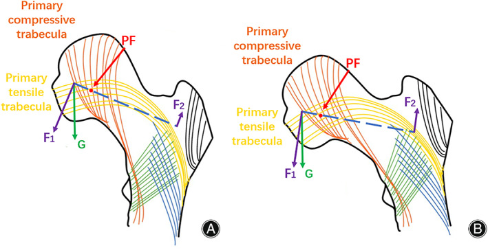 Fig. 8