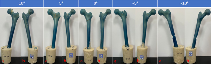 Fig. 7