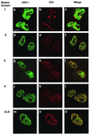 FIG. 4.