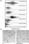 FIG. 9.