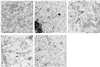 FIG. 8.