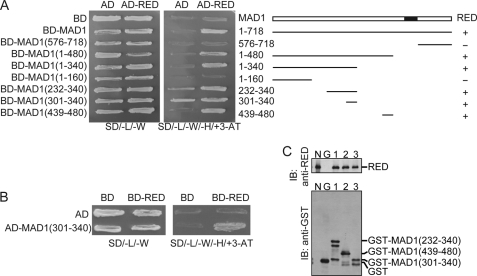 FIGURE 3.