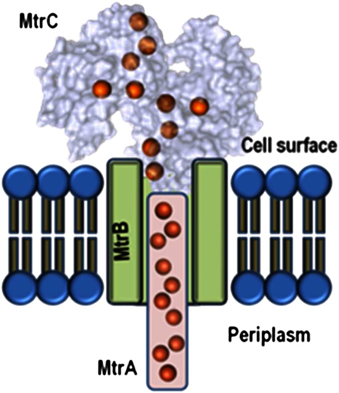 Fig. 1.