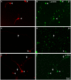 Fig 5