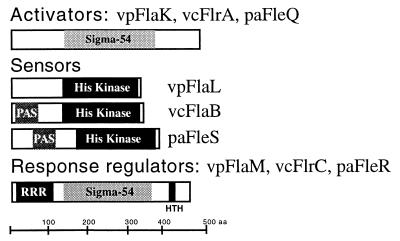 FIG. 6