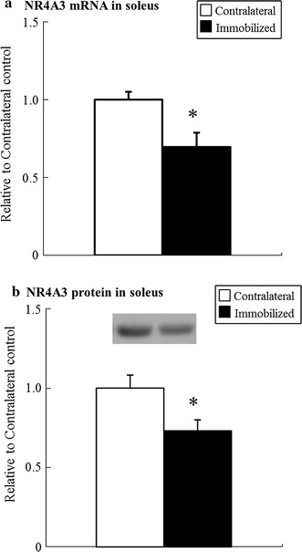 Fig. 6