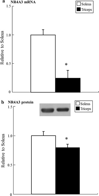 Fig. 5